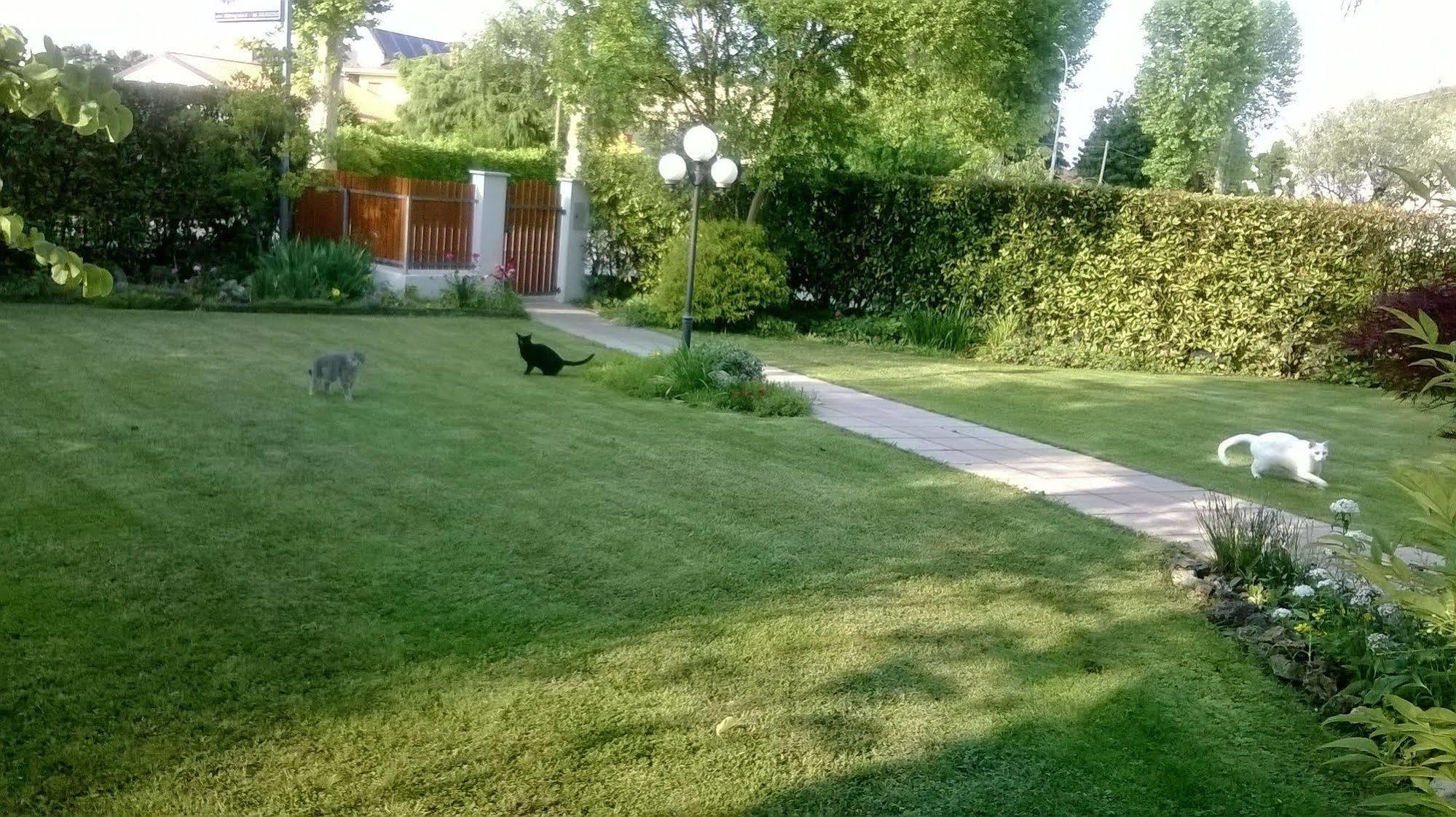 B&B Le Tre Grazie San Martino di Lupari Eksteriør bilde